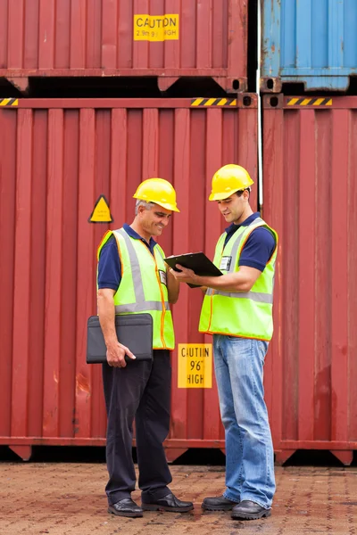 Inspectors standing next to containers Royalty Free Stock Images