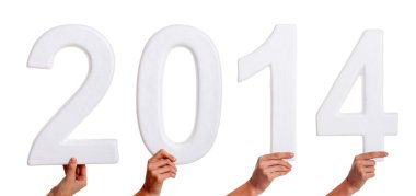 Yeni yıl 2014