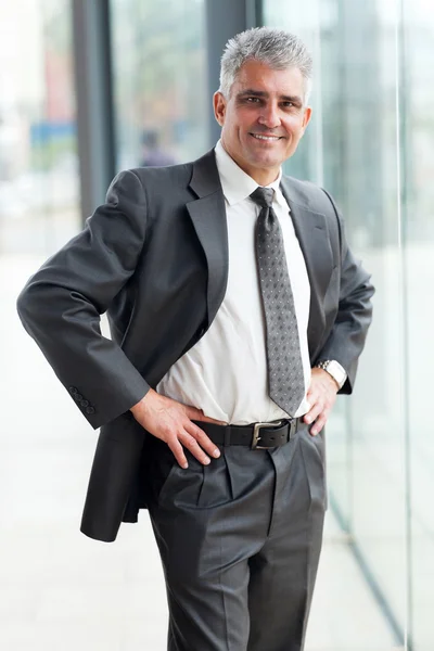 Retrato de hombre de negocios senior en offce —  Fotos de Stock