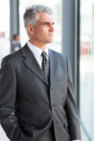 Thoughtful mature businessman — Stock Photo, Image