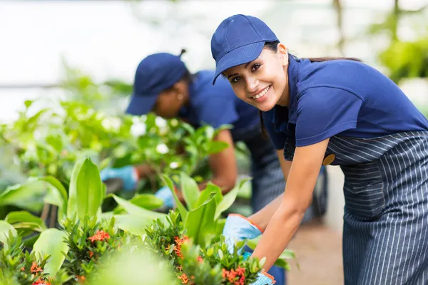 Kadın kreş işçi süs bitkileri — Stok fotoğraf
