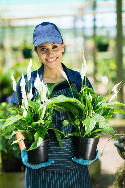 Female gardener holding two potted plants — Stock Photo, Image