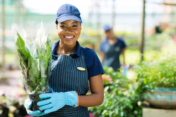 Africano americano jardineiro feminino segurando uma planta — Fotografia de Stock