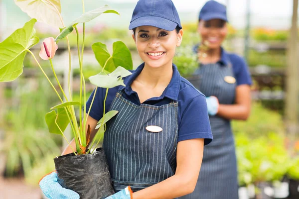 Joven jardinero femenino que trabaja en la guardería —  Fotos de Stock