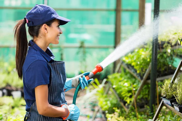 女性苗圃工人浇灌植物 — 图库照片