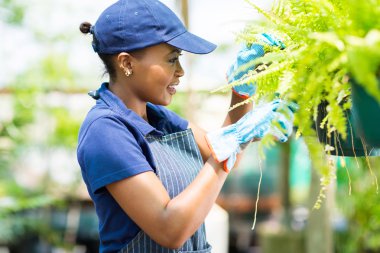 Afrikalı kadın Çiçekçi Çiçek durumu denetleniyor