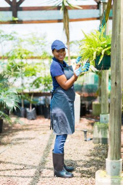 Afrika bahçıvan serada çalışma