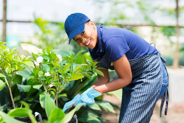 Afro Αμερικανός γυναίκα που εργάζεται σε φυτώριο — Φωτογραφία Αρχείου