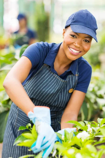 African american nursery worker gardening — Stock Photo, Image