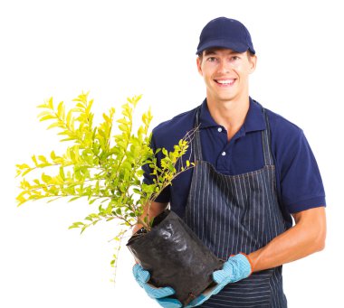 Young gardener holding a plant clipart
