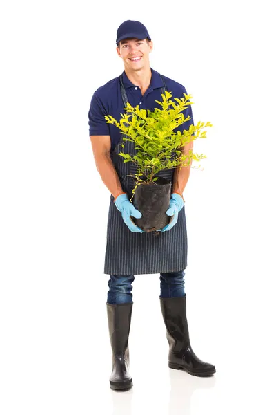 Jardinero sosteniendo una planta — Foto de Stock