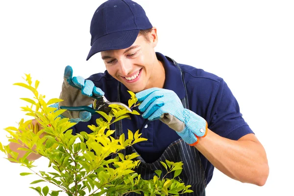 Jardinero poda una planta — Foto de Stock