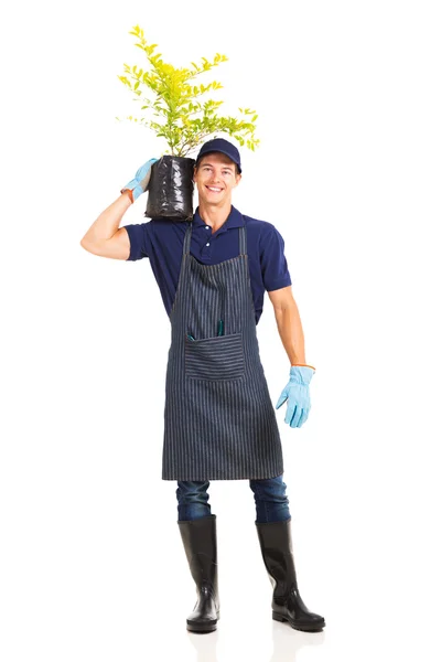 Jardinero llevando una planta — Foto de Stock