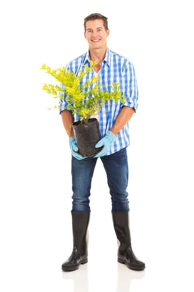 Homem segurando uma planta — Fotografia de Stock