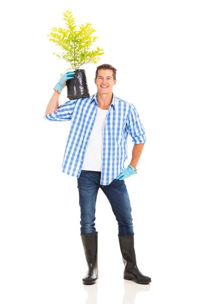 Man die een plant — Stockfoto