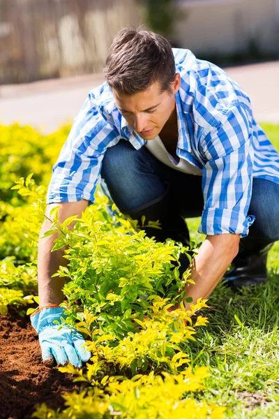 Jardinero trabajando en el jardín — Foto de Stock