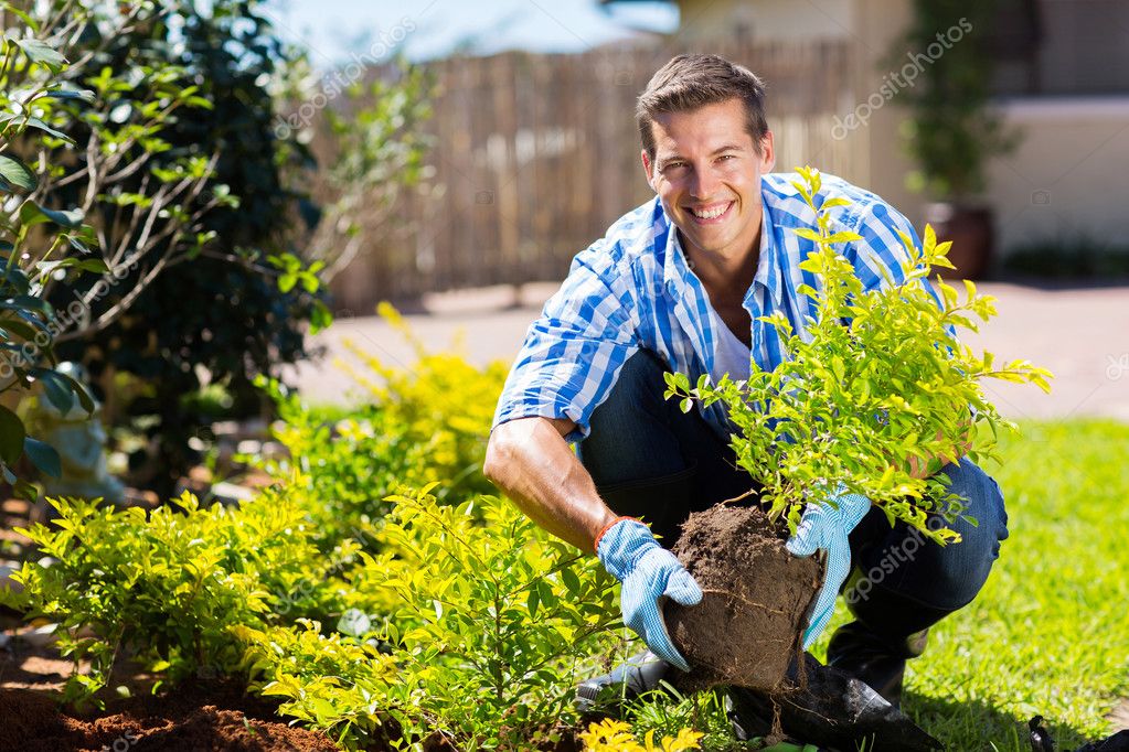 Young man gardening Stock Photo by ©michaeljung 46008393