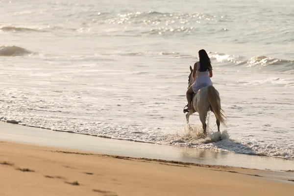 Lady häst rider på stranden — Stockfoto