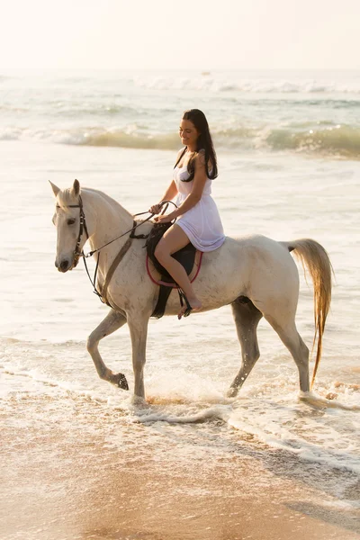 Senhora cavaleiro de cavalo na praia — Fotografia de Stock