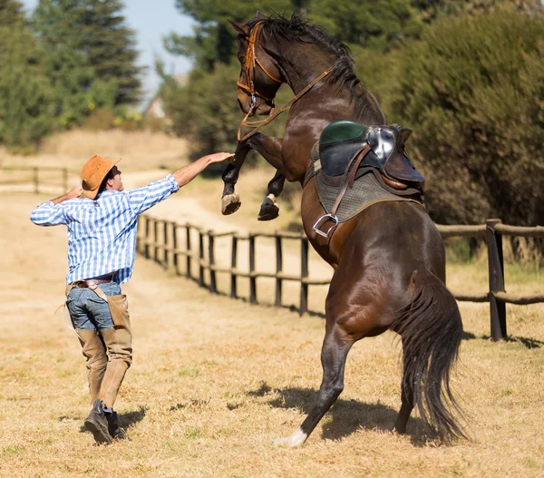 Ковбой намагається контролювати свого коня — стокове фото