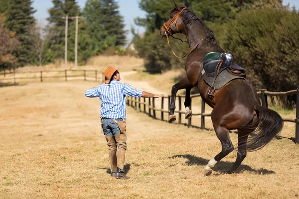 Vaquero domesticando un caballo de carreras suelto — Foto de Stock