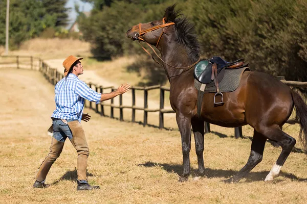 彼の馬を沈静化しようとすると、ブリーダー — ストック写真