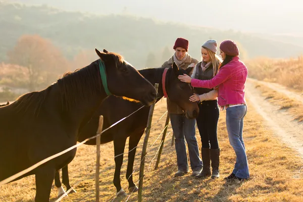 Group of friends petting horses — Stock Photo, Image