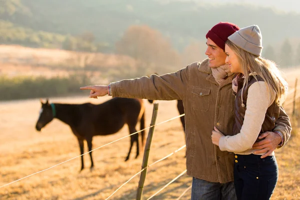 Jovem casal apontando para cavalo no rancho — Fotografia de Stock