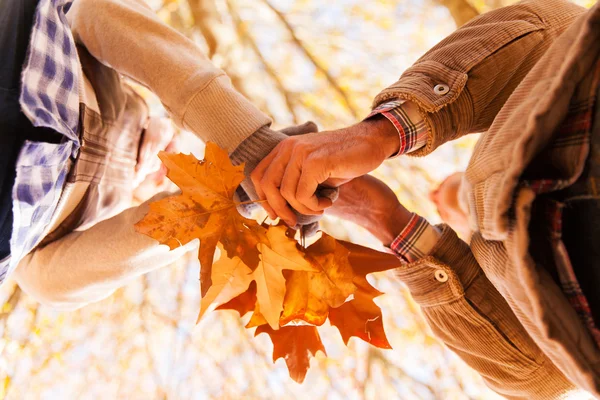 Casal segurando folhas de outono — Fotografia de Stock
