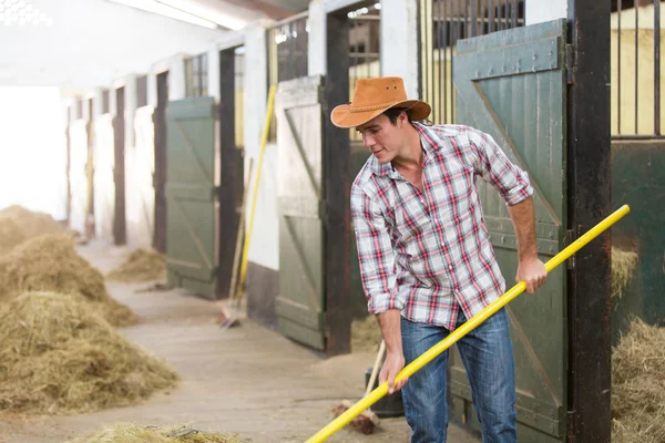 Cowboy trabalhando em um estábulo — Fotografia de Stock