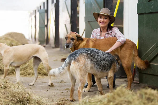 Fêmea cavalo estábulos proprietário e cães — Fotografia de Stock