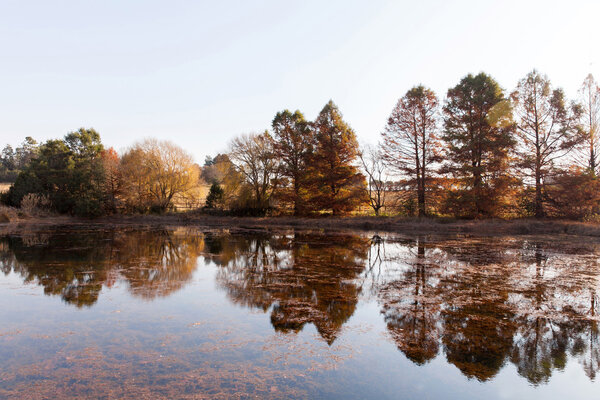 calm autumn lake