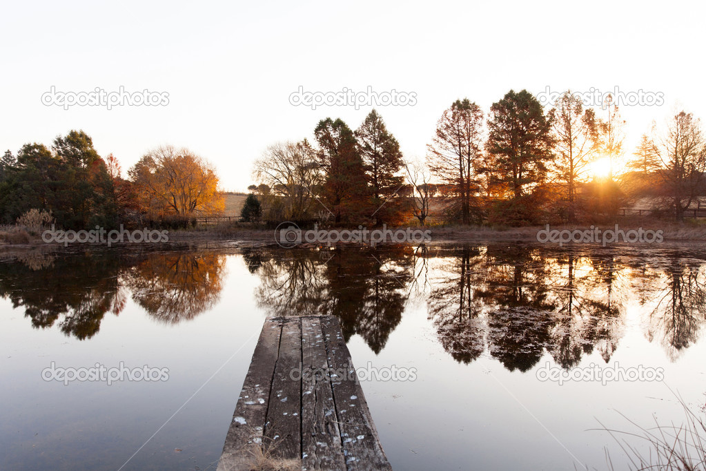 autumn lake landscape