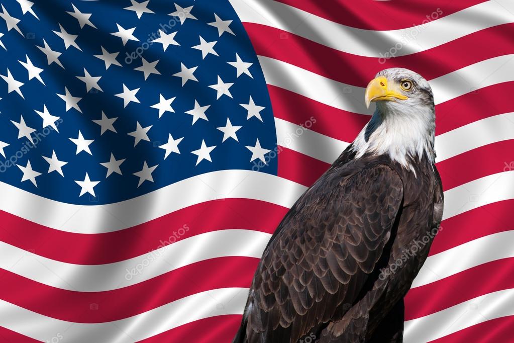 Bandera americana con águila fotos de stock, imágenes de Bandera americana  con águila sin royalties | Depositphotos