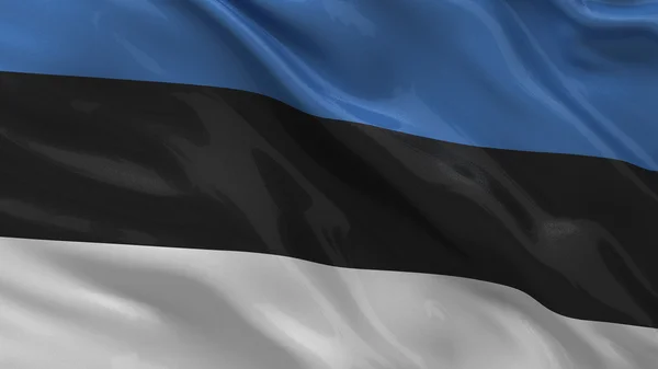 Bandiera dell'Estonia — Foto Stock