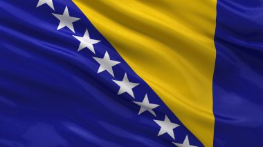 Bosna-Hersek Bayrağı