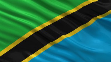 Tanzanya'nın bayrağı