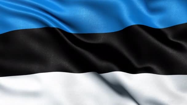 Кольцо Швов Эстонского Флага Анимация — стоковое видео