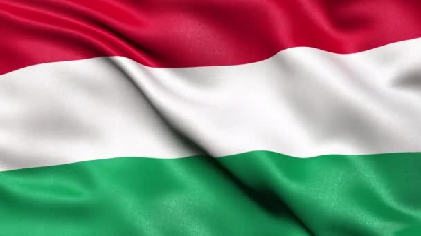Hungary Flag Seamless Loop Анимация — стоковое видео