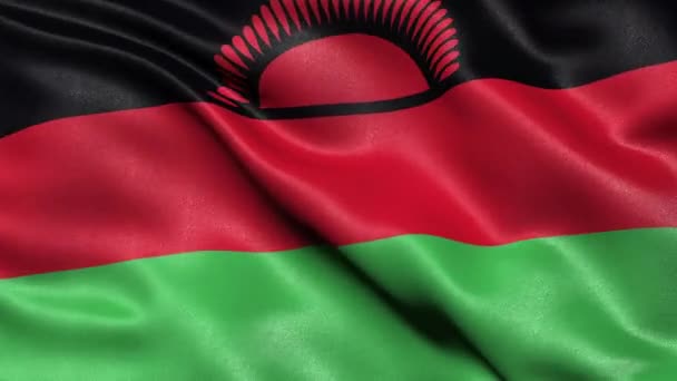 Malawi Flaggans Sömlösa Ögla Animering — Stockvideo