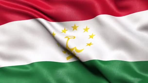 Безшовный Круг Флага Таджикистана Анимация — стоковое видео