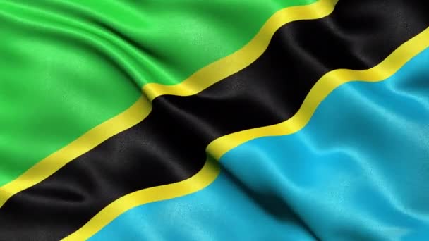 Tanzania Flag Seamless Loop Animace — Stock video