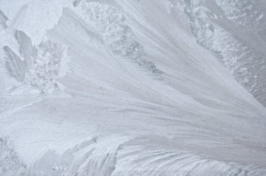 winter rime background