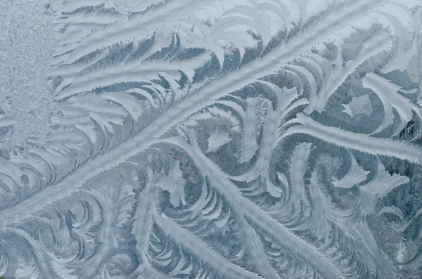 冬の霜の背景 — ストック写真