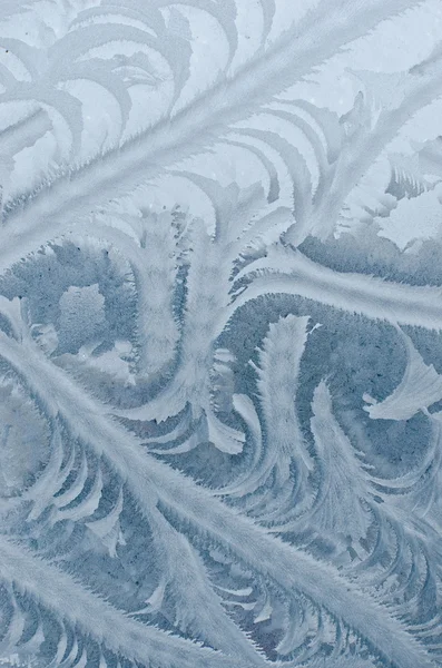 Winter rime background — Stock Photo, Image