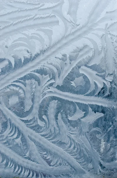 Winter rime background — Stock Photo, Image