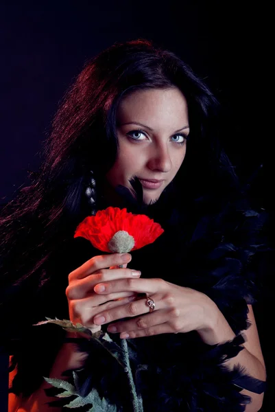 Beautiful brunette woman with blue eyes wrapped in a boa holding — Stock Photo, Image