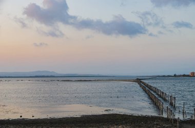 Pomorie Gölü, korunan bölge, Via Pontica kuş göçü güzergahı üzerinde yer alıyor. Ornitolojik öneme sahip Bulgar gölü. Sudaki tahta direkler. İç fotoğrafçılık. Güzel deniz manzarası.