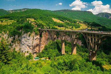 Tara Kanyonu. Yeşil dağların güzel manzarası. Kanyonun üzerindeki taş köprü. Huzurlu bir manzarası olan inanılmaz bir iç mekan fotoğrafı..
