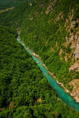 Tara Kanyonu. Yeşil dağların güzel manzarası. Gök mavisi, gök mavisi dağ nehri. Huzurlu bir manzarası olan inanılmaz bir iç mekan fotoğrafı..